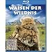 Waisen der Wildnis [Blu-ray]