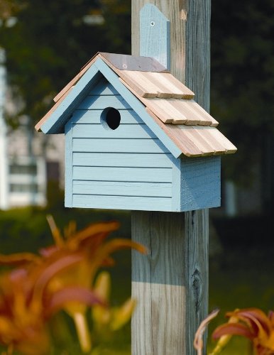 Oct-Avian Bird House in Blue Pickle