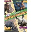 Hippos and Rhinos by 