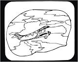Mouse Pad with black and white, Michigan, glider, aircraft, Detroit, airplane, sky, vintage, flying, antique
