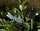 Smart Solar Flutterby Dragonfly From Fsonlineuk