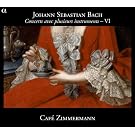 Bach: Concerts avec plusieurs instruments VI