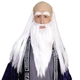 Wizard Wig & Beard Set