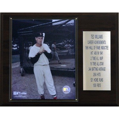 MLB Boston Red Sox Ted Williams Career Stat Plaque