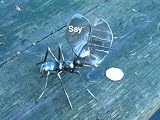 Kitchen & Housewares : metalgnu