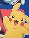 Pokemon Characters Boy's Hoodie (11-12 Years) Blue