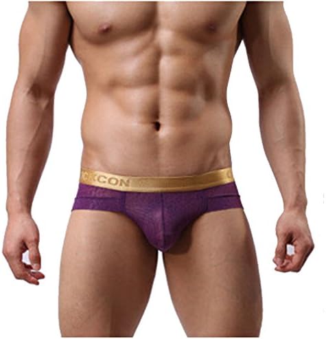 JAC Men's Sexy Sheer See Mesh Underwear Slips Briefs Purple L