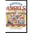 Allegheny Angels