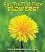 Can You Find These Flowers? (All About Nature)