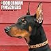 2016 Dobermans Wall Calendar