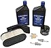 Stens 785-654 Engine Maintenance Kit