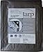 Kotap 8 x 10 Ft. Heavy-Duty Protection/Coverage Tarp, Superior Weave for Greater Longevity, 10-mil Multi-Use, Waterproof, TRS-0810, Silver (1-Pack)
