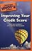 The Complete Idiot's Guide to Improving your Credit Score