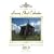 Luxury Shed Calendar 2010: A Humorous Appreciation of 12 Allotment Structures Captured in a Luxury Calendar