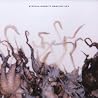 Image of album by Stephin Merritt