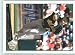 2009 Topps #249 Jack Hannahan - Oakland Athletics (Baseball Cards)