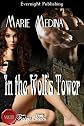 In the Wolf's Tower (Naughty Fairy Tales)