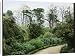 Canvas Prints of Garden with bamboo from Mary Evans