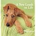 A New Leash on Life