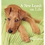 A New Leash on Life