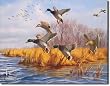 DUCKS UNLIMITED - AS GOOD AS HOME Metal Tin Sign 16"W x 12.5"H