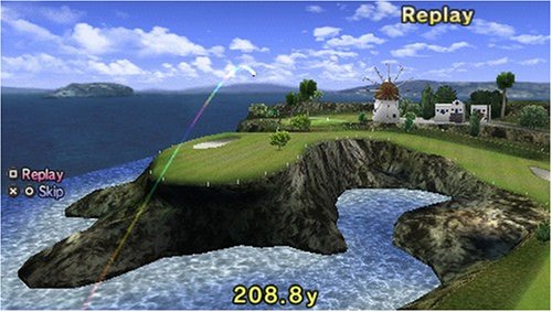 large image