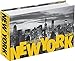 New York: 365 Days