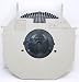 IBM Cartridge Printwheel II - Courier 10