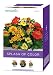 AeroGarden 6-Pod Seed Kit Splash of Color Flowers