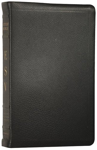 Bibles Bible Studies