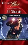 Storm Watch (Harlequin Blaze)