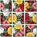 ROSES Scramble Squares by b. Dazzle