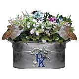 NCAA Kentucky Wildcats Planter Tub