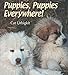 Puppies, Puppies Everywhere!