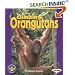 Climbing Orangutans (Pull Ahead Books)