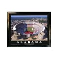 Framed University of Alabama - Bryant- Denny Stadium - 24 x 30"