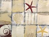 Eurographics ANF1067 Anna Flores, Sea You 60 x 80 cm, Hochwertiger Kunstdruck - Muscheln