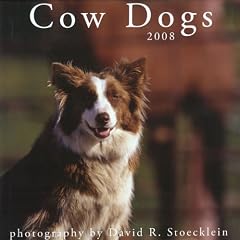 Cow Dogs 2008 Calendar