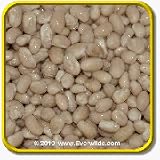 Everwilde Farms, Inc. - 