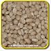1 Oz Dry Bean Seeds - \'Navy\' Bulk Vegetable Seeds