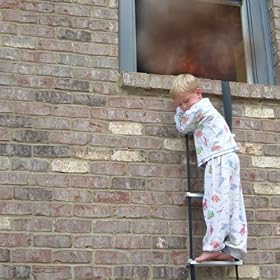 PEARL Protected Permanent Escape Ladder
