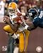 Sean Taylor Redskins Interception 8x10 Photo