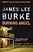 Books : Burning Angel