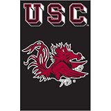 South Carolina Gamecocks NCAA Applique Banner Flag (44x28)