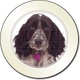 Cocker Spaniel Dog Christmas Gift Car Tax Disc Holder New Animal, Ref:AD-SC13T