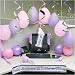 Bridal Shower Cubicle Kit Adult