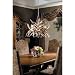 The Cascade 8 light Antler Chandelier (Whitetail Horns)