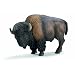 Schleich 14349  - Indianer, Bison