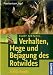 Hege und Bejagung des Rotwildes Hege und Bejagung des Rotwildes