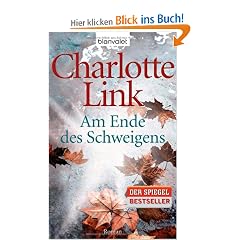 Am Ende des Schweigens: Roman